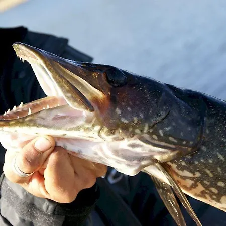 Resort Naaranlahti Cottages Hébergement de vacances *