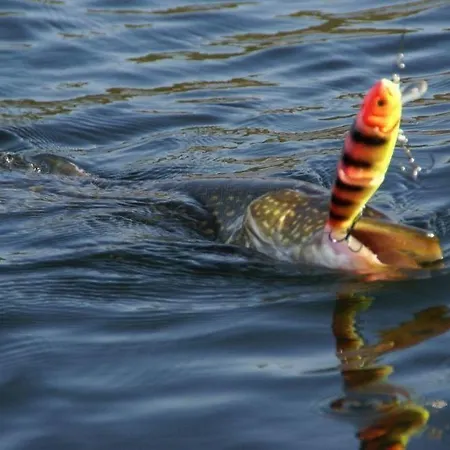 Resort Naaranlahti Cottages * Naaranlahti