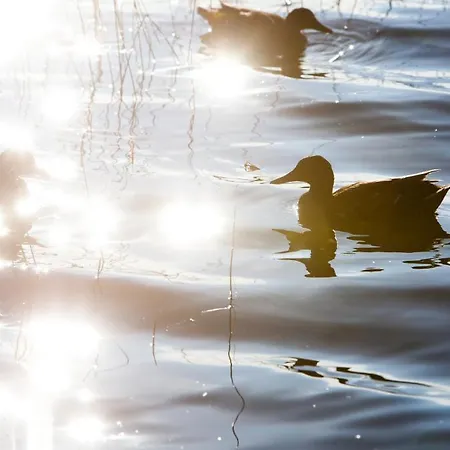 Hébergement de vacances Resort Naaranlahti Cottages Naaranlahti