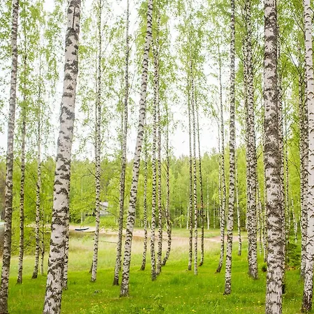 Resort Naaranlahti Cottages * Naaranlahti