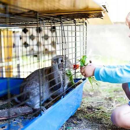 Resort Naaranlahti Cottages Hébergement de vacances *