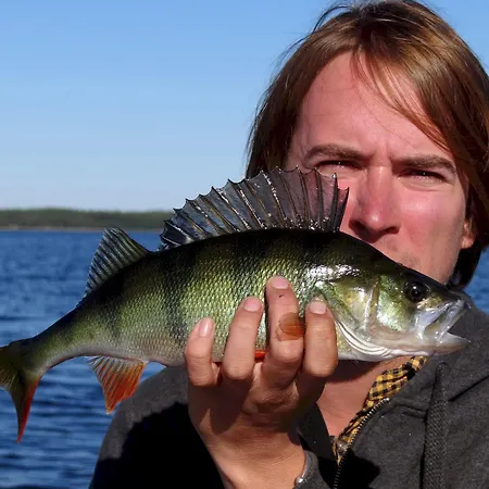 Resort Naaranlahti Cottages * Naaranlahti