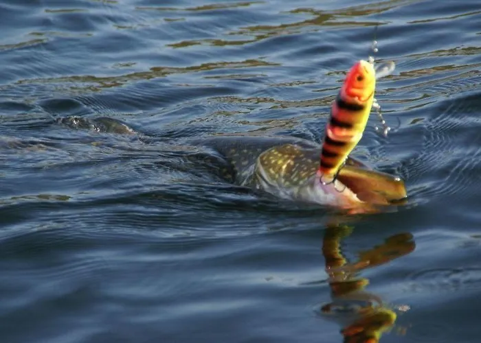 Resort Naaranlahti Cottages * Naaranlahti