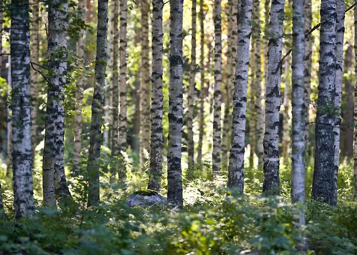 Resort Naaranlahti Cottages Semesterbostad Naaranlahti