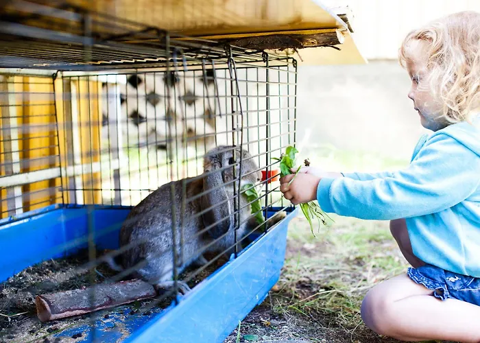 Resort Naaranlahti Cottages Semesterbostad *