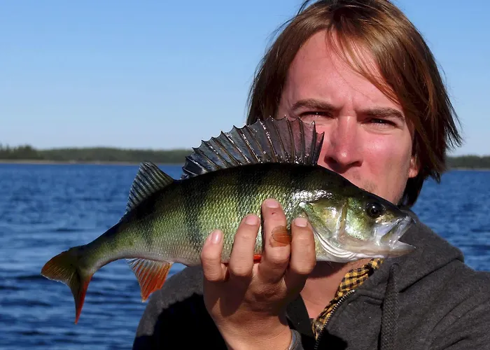 Resort Naaranlahti Cottages * Naaranlahti