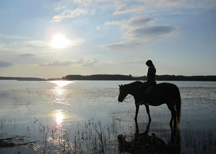 Resort Naaranlahti Cottages Casa vacanze *