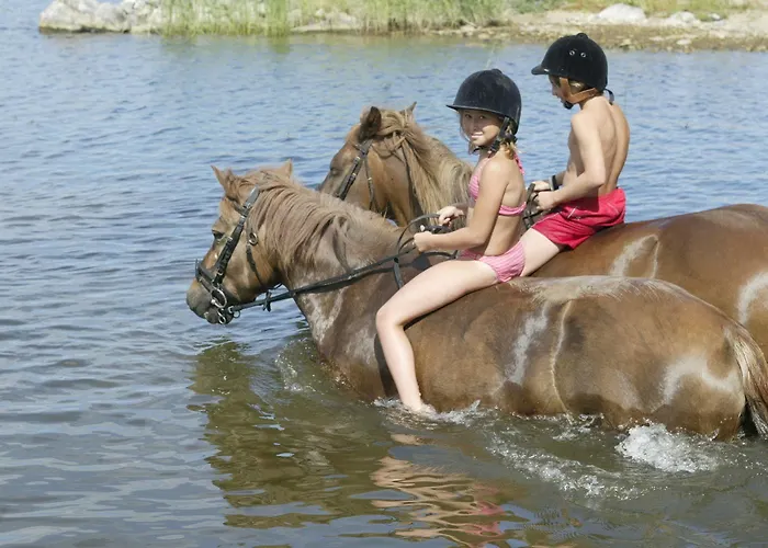 Resort Naaranlahti Cottages * Naaranlahti